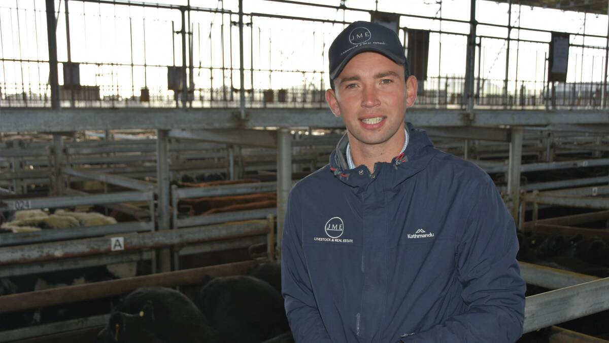 JM Ellis & Co livestock agent Jack Hickey said upcoming prices in western Victoria were very dependent on how much autumn rain fell in the next few months. Picture by Philippe Perez