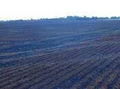 EPA Victoria are encouraging farmers to not burn off toxic waste during burn off season. File picture.