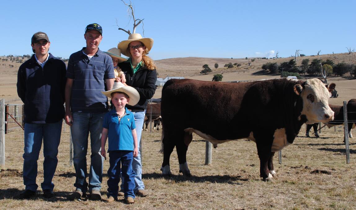 Guilford Poll Hereford farm hand Jack Davie, Ouse, Tasmania, with buyers of the top-priced bull, Jamie and Rebecca Woolley, Bermuda Hills, Glen Huon, and their son Max (five) and daughter Violet (18 months). Picture by Barry Murphy