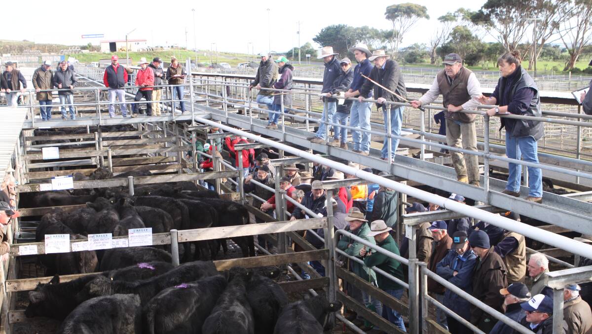 Warrnambool City Council has committed to spend $500,000 on roofing at its Warrnambool saleyards over the next two years.
 