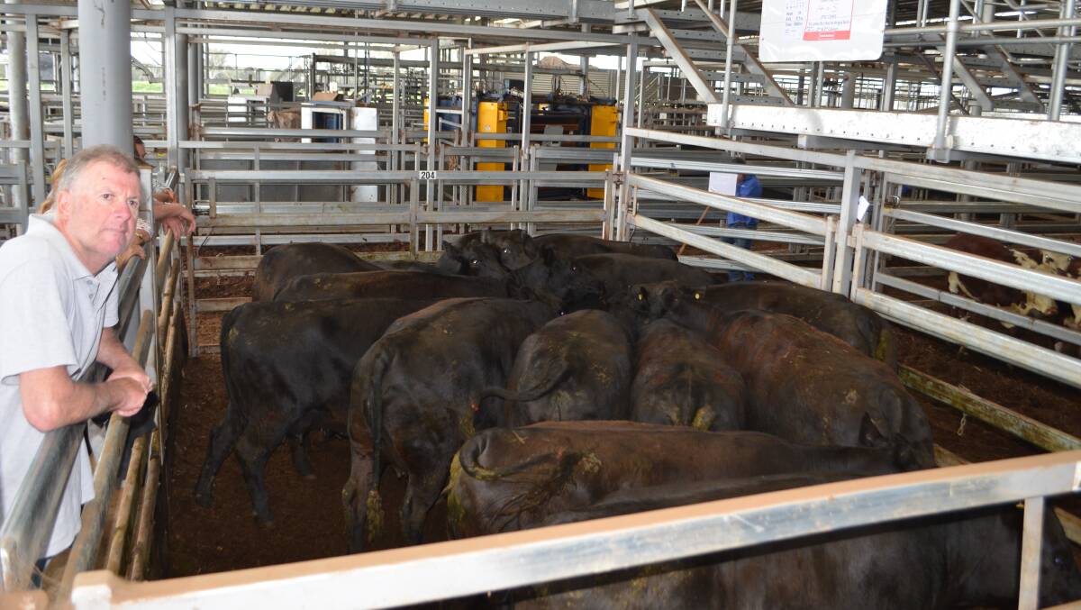  Phillip Stevenson, Tallangatta, Victoria - purchased 14 Angus cows PTIC with five calves already dropped for $1420.
Mr Stevenson was looking for replacement cows for his property having recently sold older cows and attended the sale to see what was available. He thought his purchase was 'very good value' following on from earlier pens of cows and calves selling to $2210. "They are in good condition and I think reasonably priced on today's market," he said.
