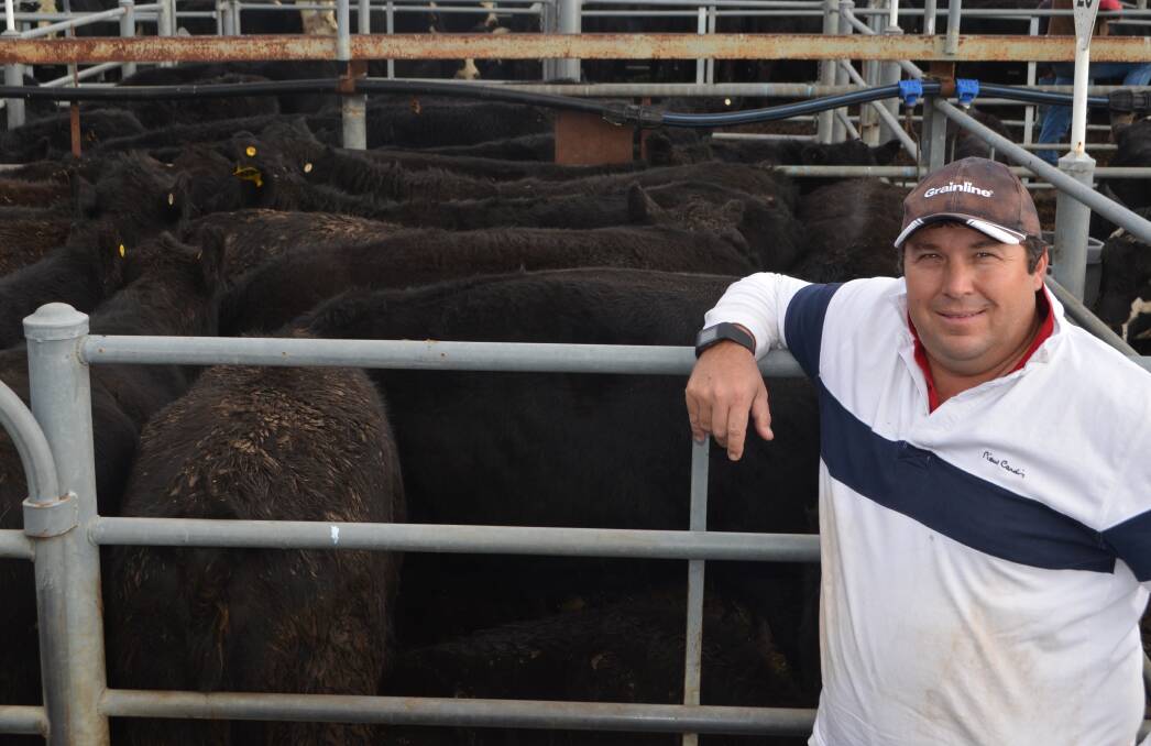 Nick Heggaton, Wallendbeen, with his family's pen of 44 Angus heifers that sold for $1200. The family sold 500 Angus and black baldy mixed sex weaners at Gundagai.