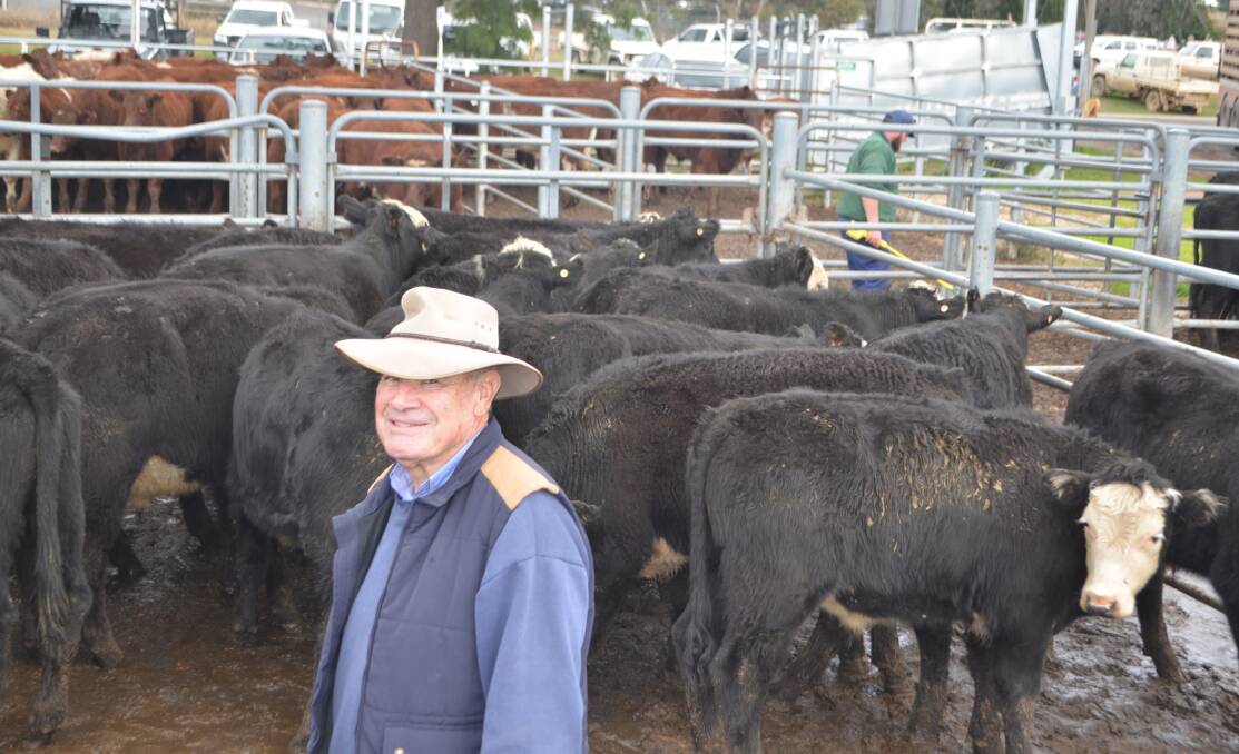 Very pleased: Les Hawking, "Briar-Vale", Harden, in the pen of 18 black baldy steers, nine to ten months, with an estimated weight of 350kgs sold for $1240.