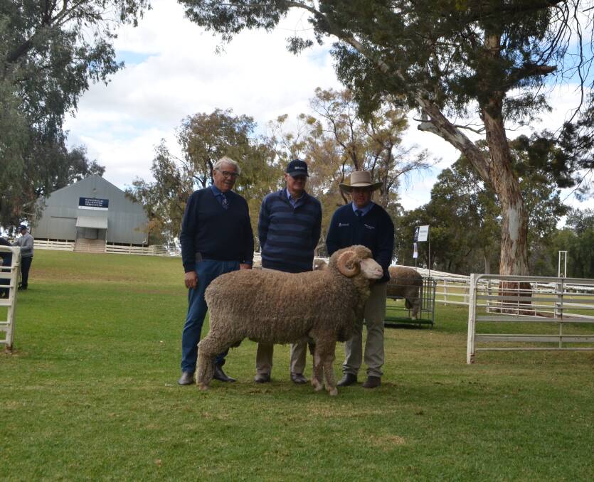 Colin Bell, Australian Food and Agriculture, "Boonoke", Conargo with the Wanganella ram bought by Rodger Mathews, Borambil Merinos, Corowa for $19,000 and Angus Munro, stud manager, Wanganella Merinos, Conargo.
