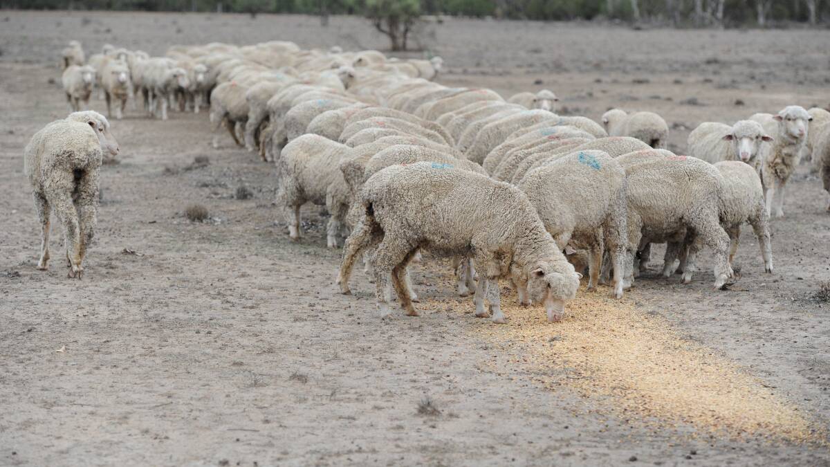Dry times are a recurring feature which can impact severely on primary production in this country and most producers do prepare for such conditions. 