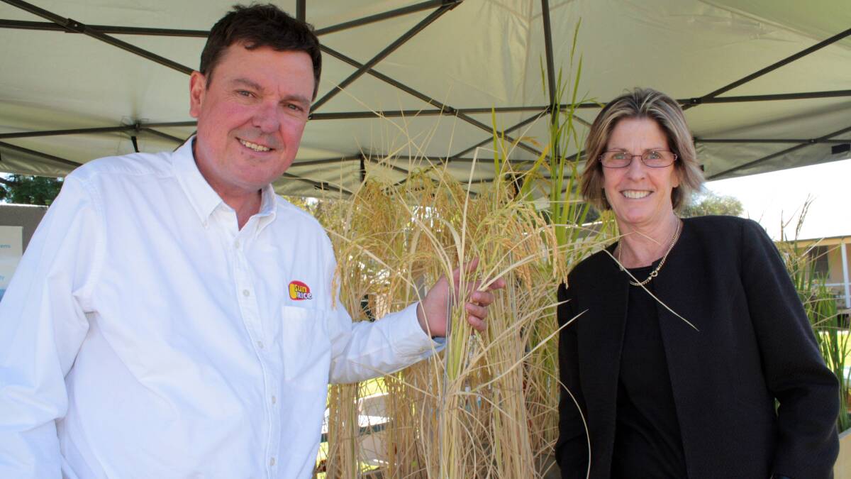 SunRice General Manager AGS, Grower Services and Agronomic Development, Tom Howard and NSW Department of Primary Industries plant systems group director, Alison Bowman, inspect breeding lines of rice at the Yanco Agricultural Institute (YAI).
Dr Bowman launched Viand at the 2018 rice industry field day at YAI day, a new rice variety which combines water-saving attributes with the ability to fit high-value markets. Photo: supplied.