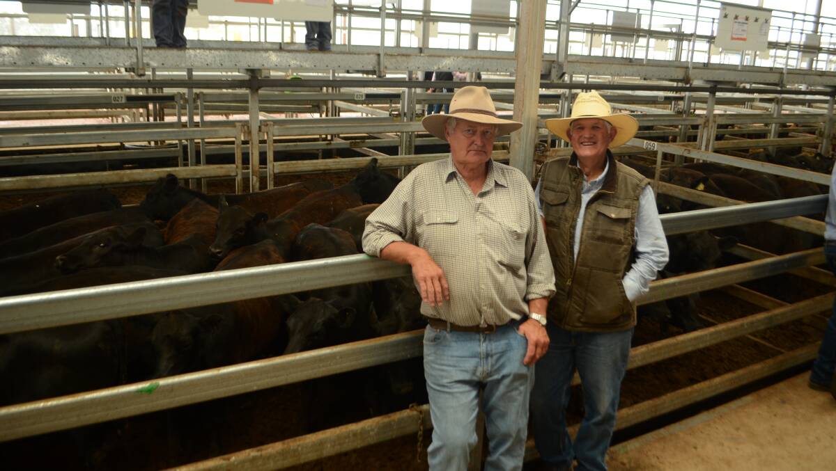 Kieran Hosie, "South Bullenbong" The Rock with stock manager Ralph Sonneman with the pen of 22 Angus heifers weighing 340 kilograms sold for $1010. 
