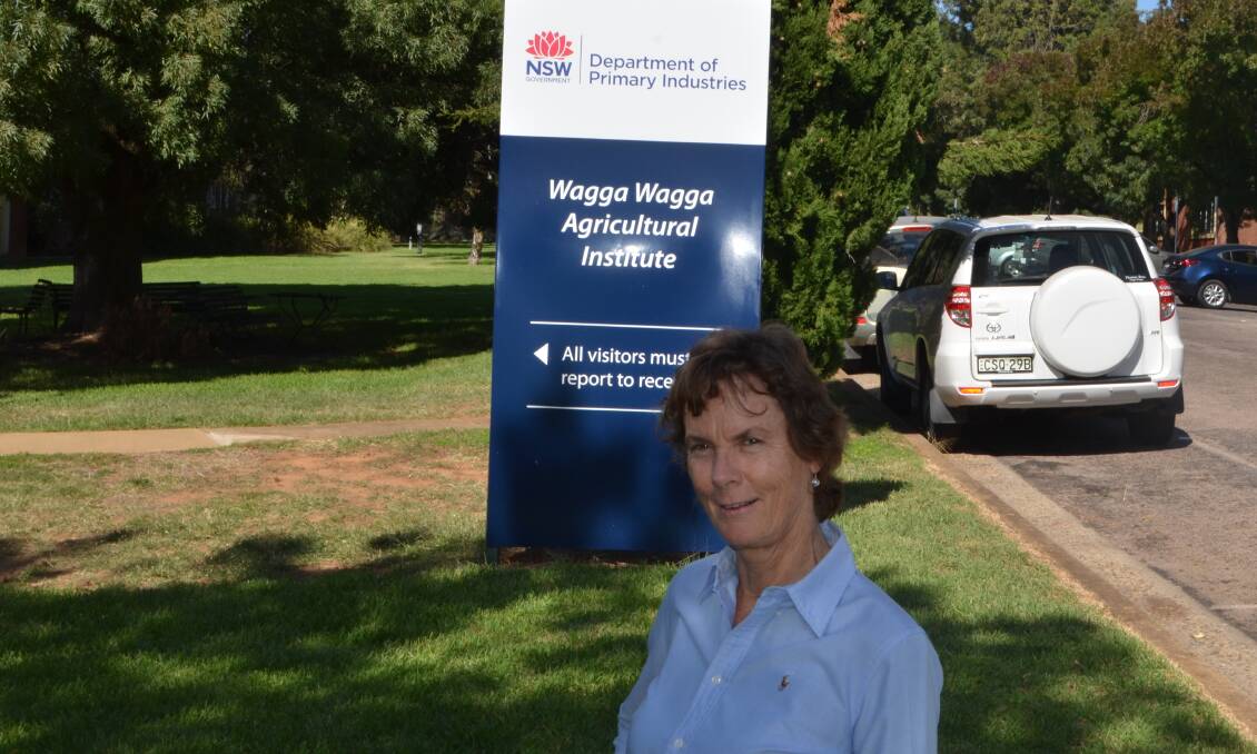 DPI Wagga Wagga, development officer - pastures, Helen Burns - "The guidelines currently used for liming programs were developed at a time when traditional cultivation incorporated the applied lime to a depth of about ten cm."