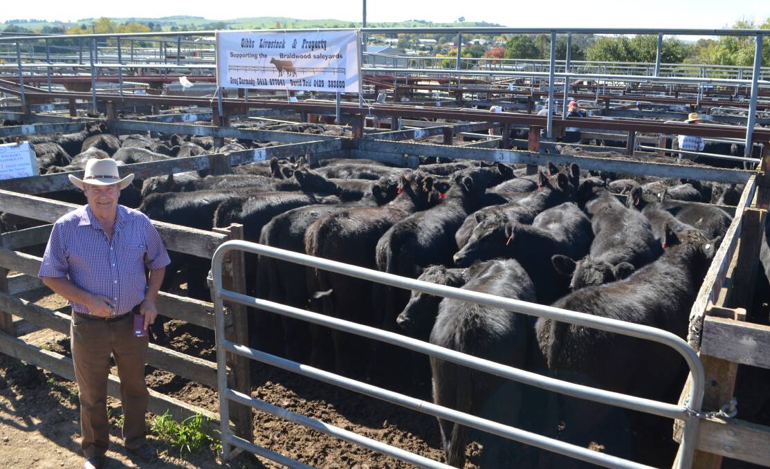 Ray Lawrence, manager Wincraden Pastoral Co, Tarago, with his pen of 21 Angus steers, Brookfield and Bongongo-blood and weighing 343kg which sold for $1348.