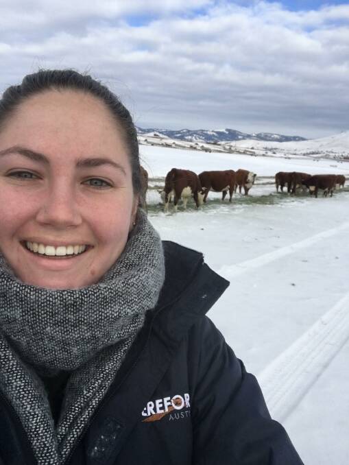 Cold cattle: Hereford Youth member Sarah Day, of Bordertown, SA, is a recipient of the CM Hocking Scholarship and toured US Hereford studs in January. Photo: supplied.