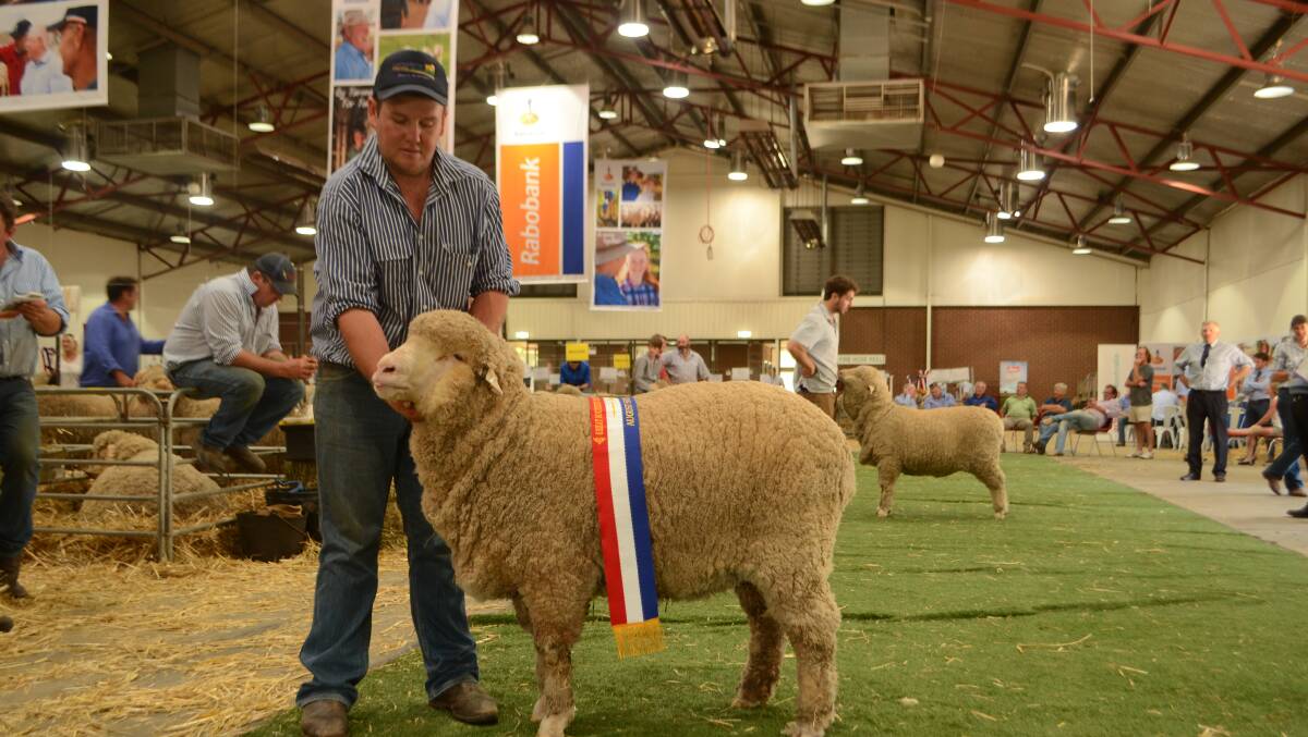 Ben Simmons with champion August-shorn fine wool Merino ewe bred by Garry Cox, Langdene, Dunedoo
