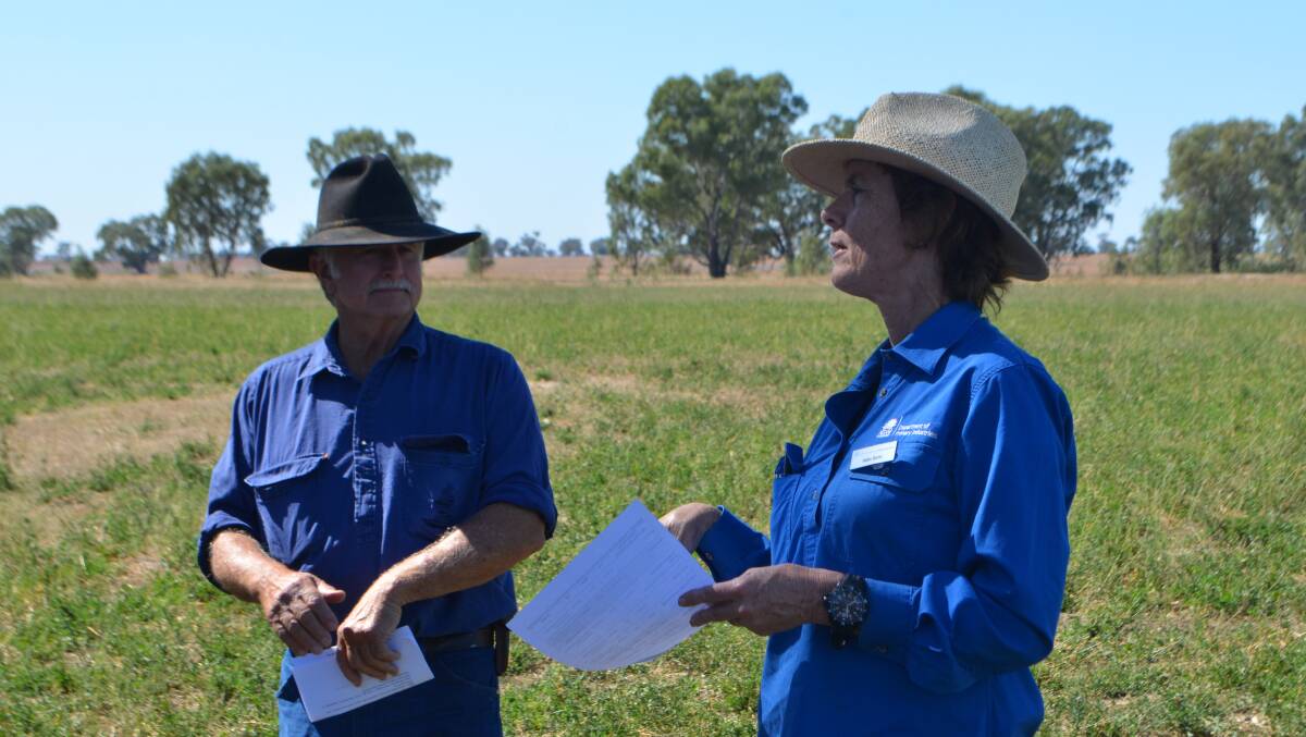 Berrembed Station manager Andrew Lloyd and DPI Wagga Wagga, pasture development - officer, Helen Burns discussing the establishment of lucerne-based pasture in the Riverina.