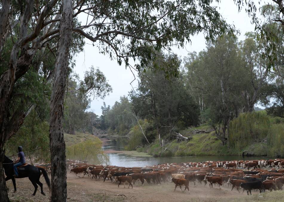 Farmers say 278 gigalitres of water has been taken from northern basin communities via the Murray-Darling Basin Plan and the federal government should adjust the plan so recovery processes stop now. 