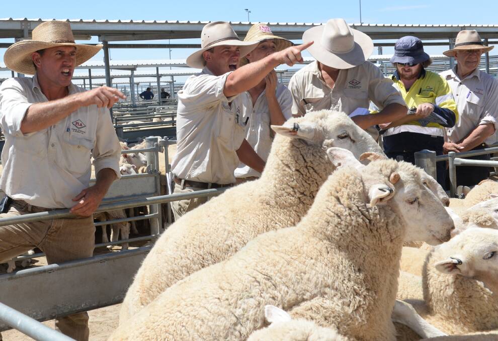 Hot weather and unease about looming trade challenges have eroded some farmer confidence, but bullish commodity prices, particularly for wool and lambs, are cited as reasons for optimism.
