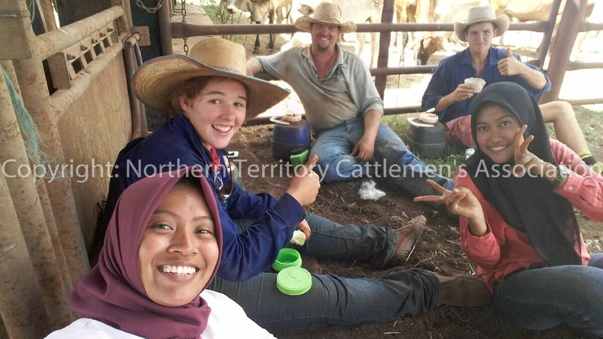 Diannur Wahyu and Astari Wibiayu Putri enjoy smoko in the cattle yards with Manbulloo Station employees on the CPC property in NT. 