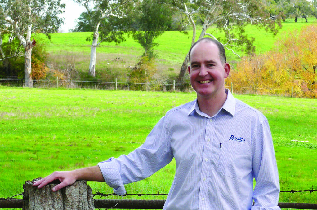  Ruralco's selling agency business is performing strongly on the back of higher than expected livestock and real estate volumes says managing director, Travis Dillon.