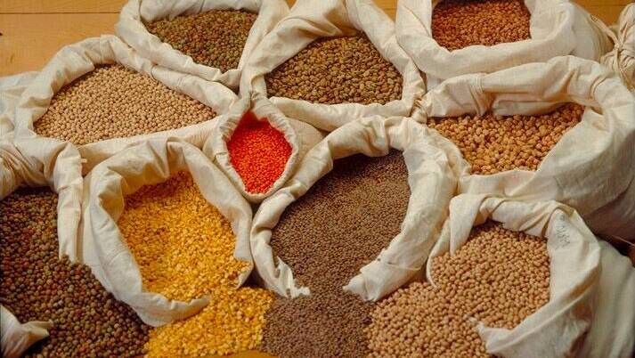Pulses set to race on global stage