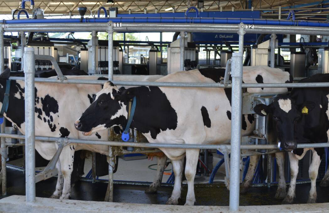 Aust Dairy Farms’ market partnerships flourish
