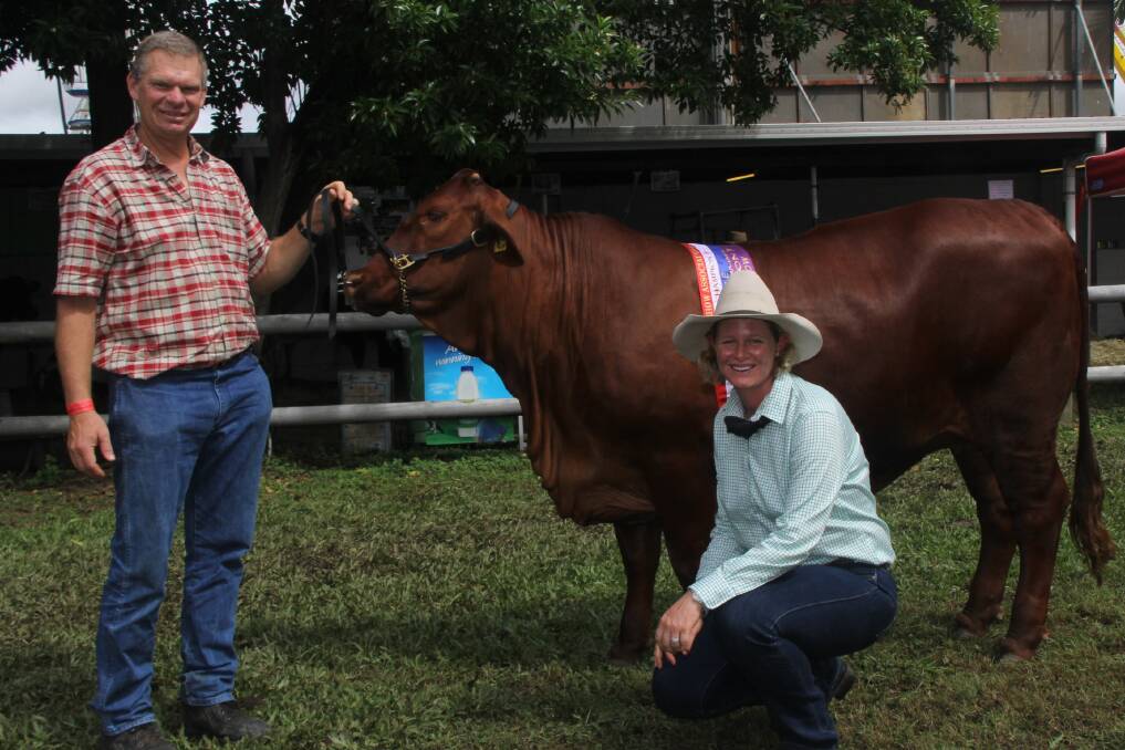 Fassifern Kelsey, Fassifern Droughtmasters, was named supreme champion female, pictured, with Mo Pedersen, Fassifern Droughtmasters, and judge Tania Sainsbury, Monto.