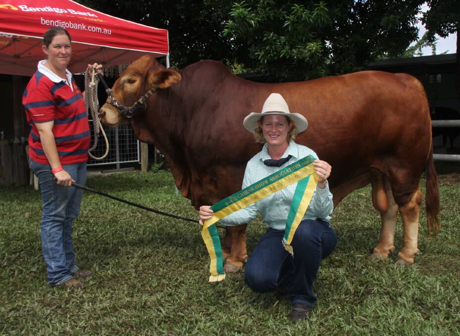 Kel-lee A Hotshot, Kel-lee Droughtmasters, Upper Barron, named supreme champion bull at the Cairns Show, pictured with owner Kellie Williams and judge Tania Sainsbury, Monto.