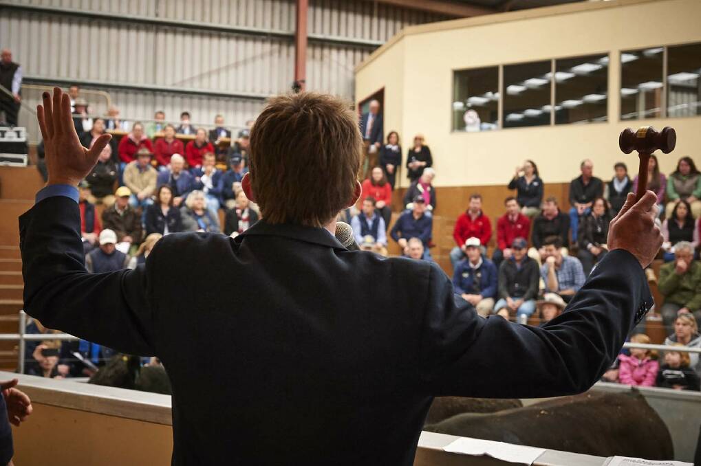 The panel of three industry representatives will judge the finalists on diction, values, voice and manner at the ALPA Young Auctioneers Competition.