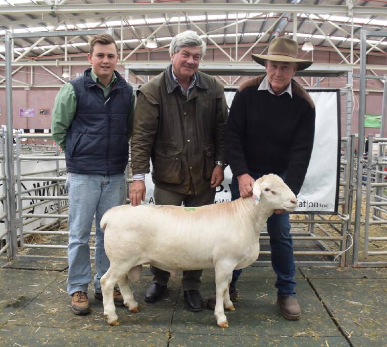 Top-priced White Dorper with Lachlan Collins, buyer Angus McTaggert, and Brendan Duncan.