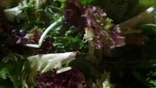 Lettuce bagged in salmonella outbreak