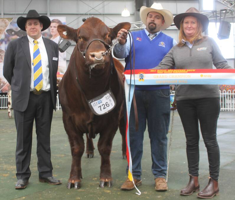 Judge Nic Job, Luke Spencer and sponsor Jackie O'Brien, Clipex, with the champion bull.