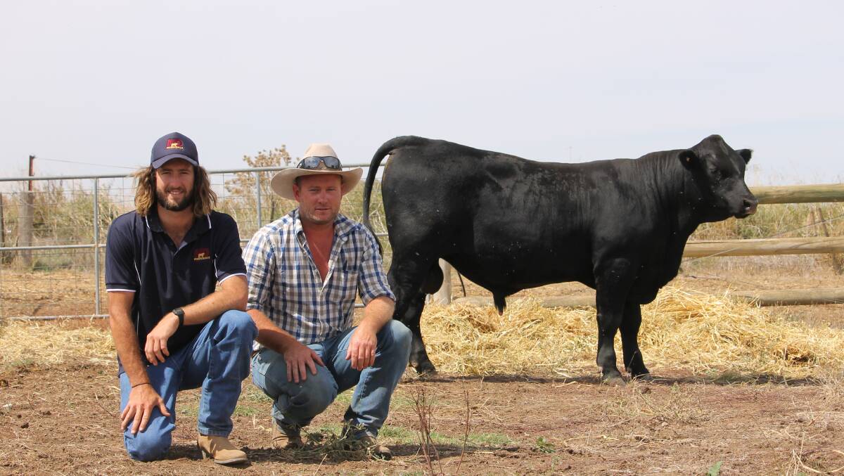 Jesse Collins, Merridale Angus, with Kyle Landy, who represented the buyer of this equal top-priced bull, SBC Farms, Mickleham. 