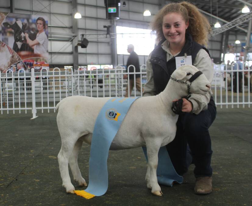 Hay War Memorial High School won the supreme White Dorper exhibit with their ewe lamb, led by Gemma Tassell.