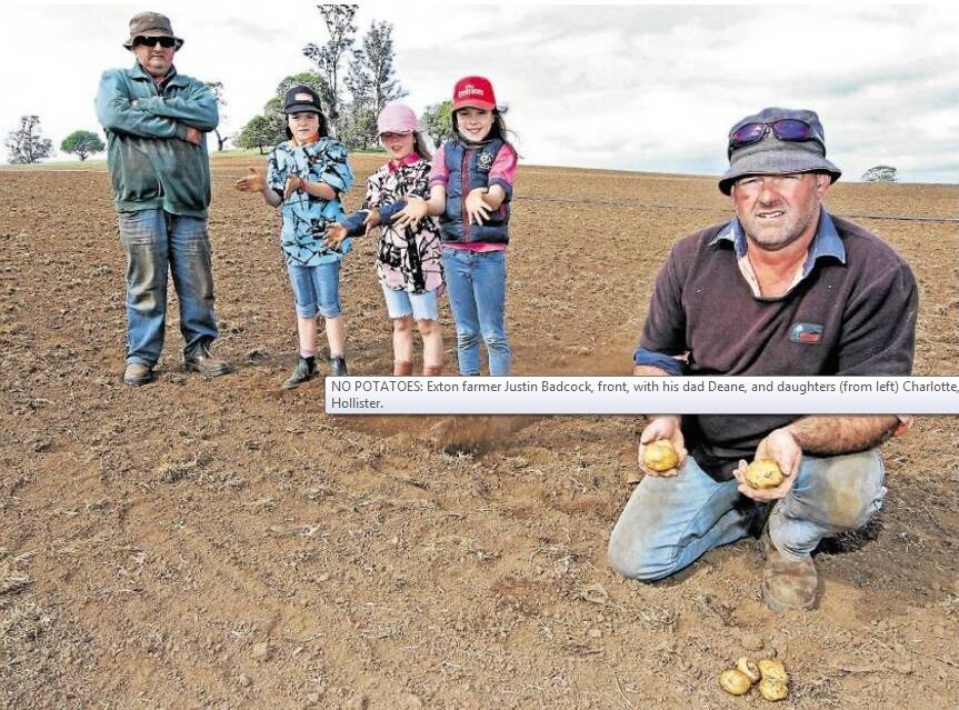 NO POTATOES: Exton farmer Justin Badcock, front, with his dad Deane, and daughters (from left) Charlotte, 7, Madeline, 5, and Zoe, 7. Picture: Jason Hollister.