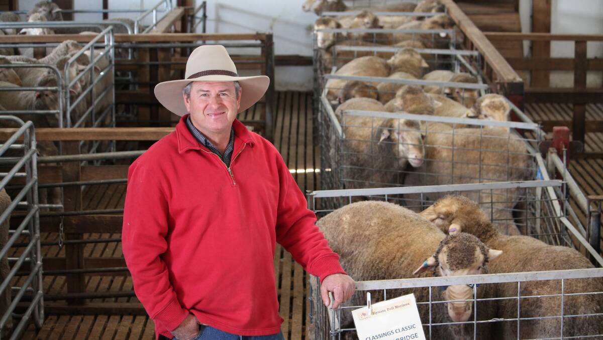 North East Merino Ram Sale Debut: Kevin Hynam will offer Hynam Poll Merino rams for the first time in the North East Merino ram sale. Photos:Laura Griffin