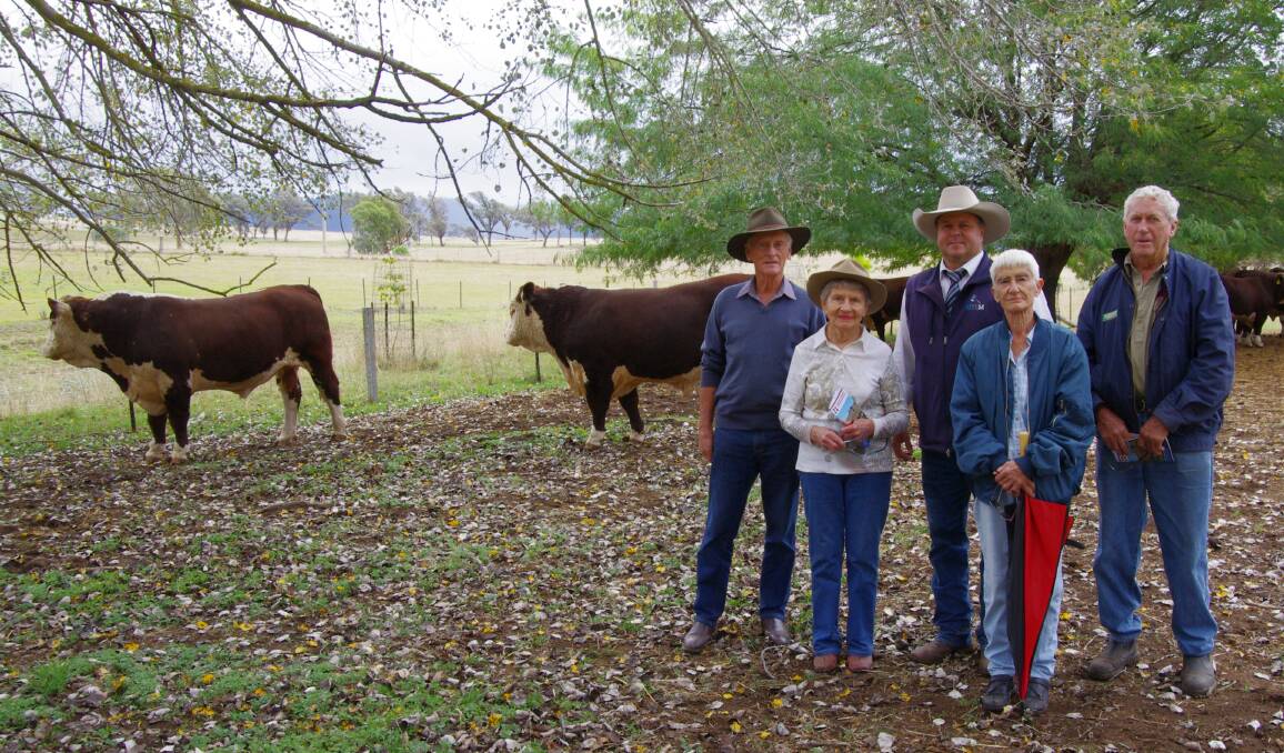Top bulls: Two bulls made to $12,000 at Newcomen Herefords' sale at Ensay last Tuesday - bought by Evan and Dot Newcomen and Sue and Jim Gray, all of Ensay. The two couples are pictured flanking auctioneer, Michael Glasser. 
