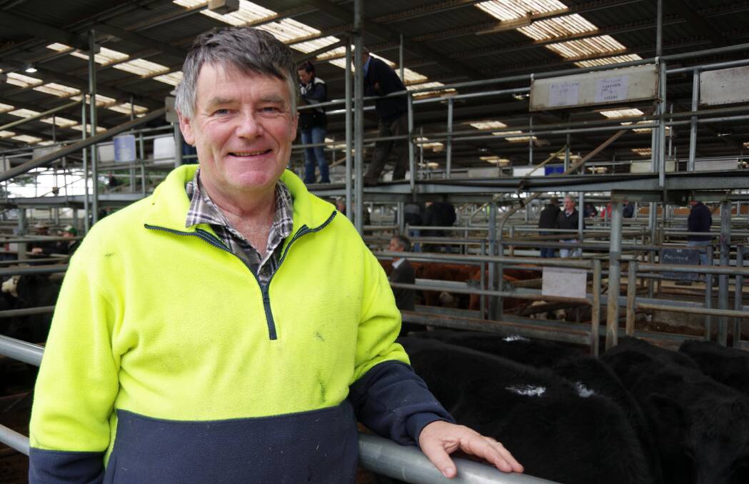 Sale beef fattener Barry Hollonds bought Angus steers from two pens at Bairnsdale on Friday, including these steers sent in by Faye and Danae Forrest, Lakeview, Swan Reach.
