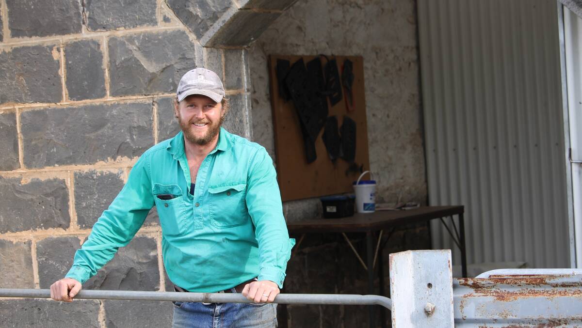 Livestock manger Ben Firman, his kelpie Roy and some of The Meadows' Merinos. Photos by Laura Griffin.