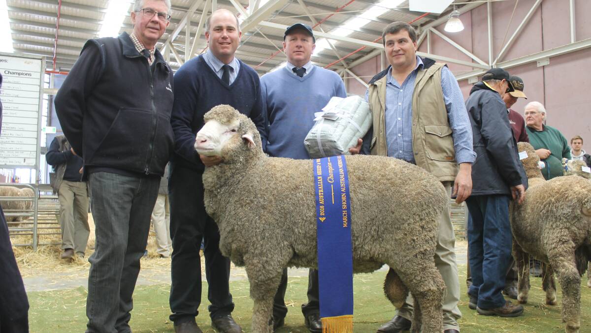 Phil Toland, Toland Merinos, Violet Town; Angus Munro, Poll Boonoke, Conargo, NSW, Justin Campbell, AFA's Riverina livestock general manager, and Michael de Kleuver, Rodwells Melbourne, with the ram that went onto win grand champion medium and all purpose ram.