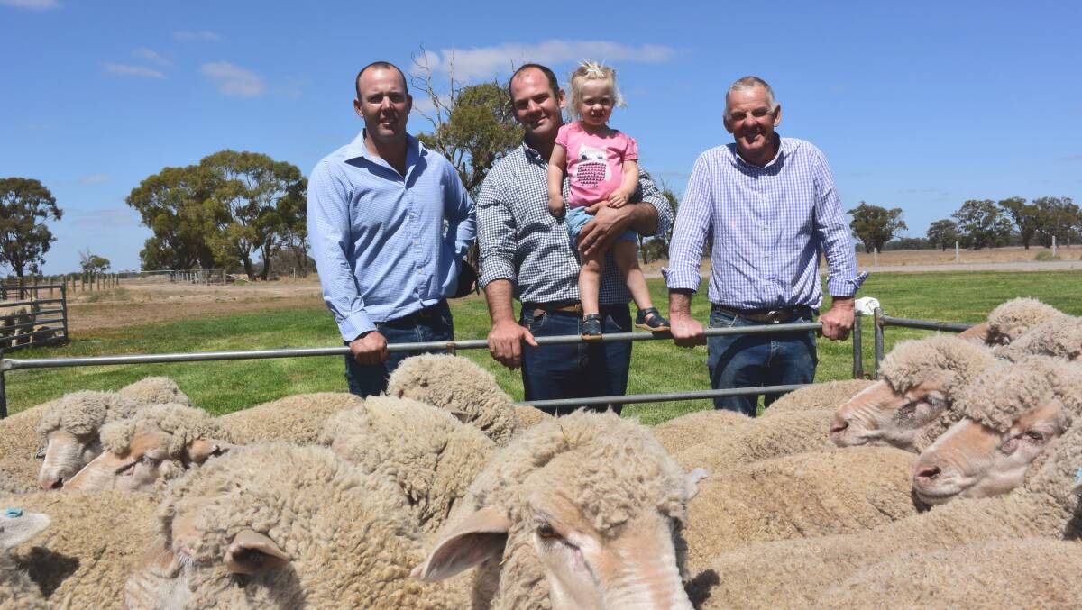 Karl, Will, Piper and Robert Hooke with Willera Merinos' sale rams at last year's Loddon Valley Stud Merinos Field Days. Will said their AI program included semen from a ram they’d purchased from Leahcim.