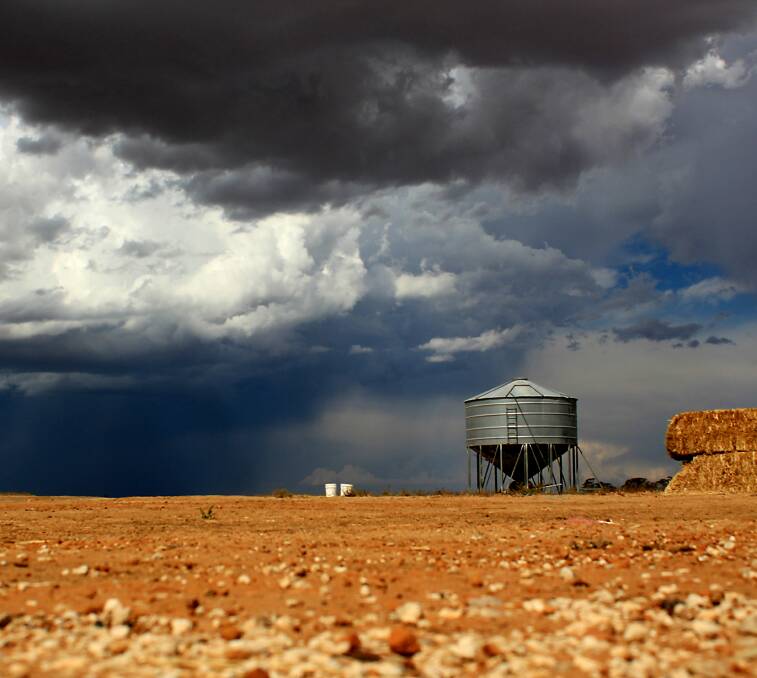 Dark clouds: Storm clouds at the Tink family's mixed farm at Telopea Downs. Photo: Kristy Tink