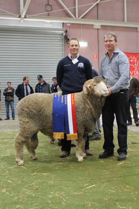 This East Mundalla ram collected a total of six champion ribbons including junior champion ram, champion March shorn ram, grand champion strong wool ram, junior champion strong wool ram, champion strong wool Merino ram and champion strong wool March shorn Merino ram. With it are strong wool judge Tim Dalla (left), Collinsville stud, Hallett, South Australia and East Mundalla co-principal Daniel Gooding, Tarin Rock, WA.
