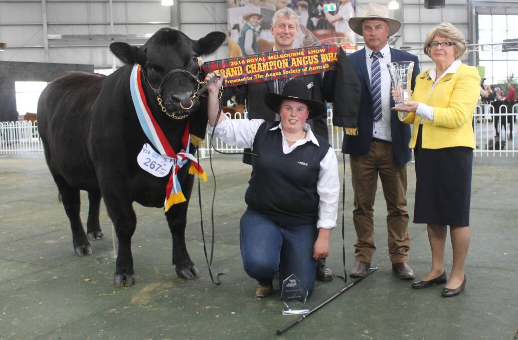 Lilli Stewart with champion Angus bull, Angus Australia CEO Peter Parnell, judge Brent Fischer, and Joy Potter.