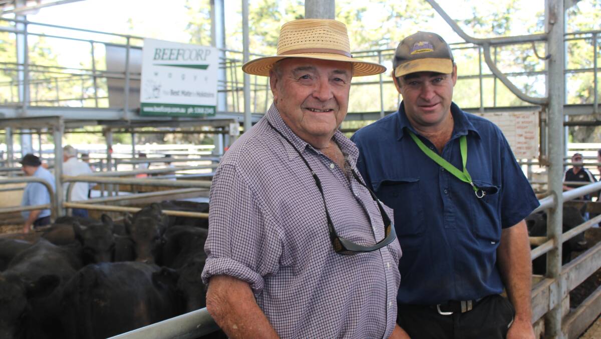 Mark Jacob (pictured left with with neighbour Donald Kent at the Colac female weaner sale in January) cannot recall a better April at Dreeite South in his 65 years of farming.
