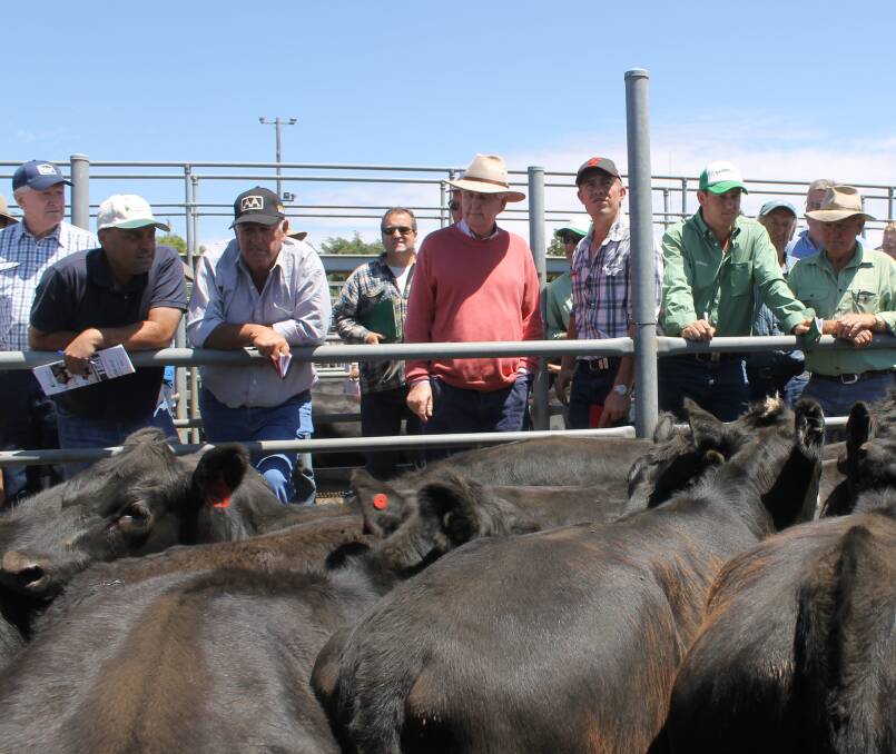 The buying gallery including lots of farmers from around Kyneton and the Central Highlands, as well as representatives from Hartwick's and Landmark Leongatha.