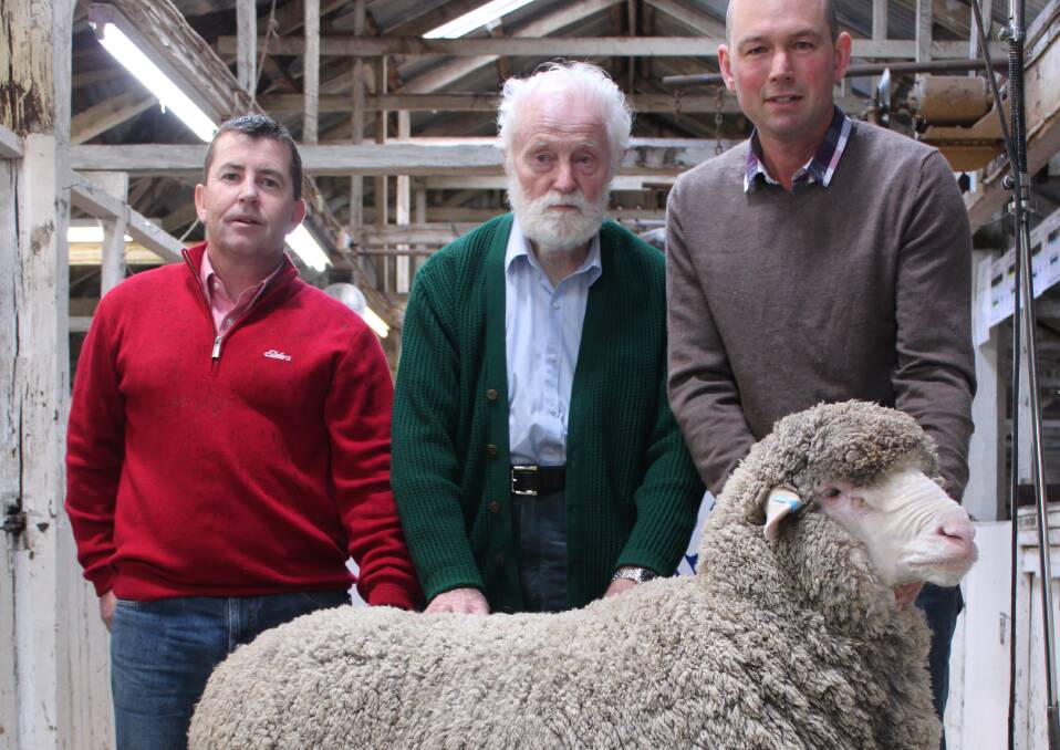 Loyalty: Elliot Lindley, Elders Ballarat, buyer of two top-priced rams Des Guinane, Gherinhap, and Warren Russell, Melrose Merino stud. Mr Guinane has stuck with buying rams from the family because the fine-wool producer has a very even wool clip - with the bulk of his wool going into one line - and he is doing his best to maintain it.