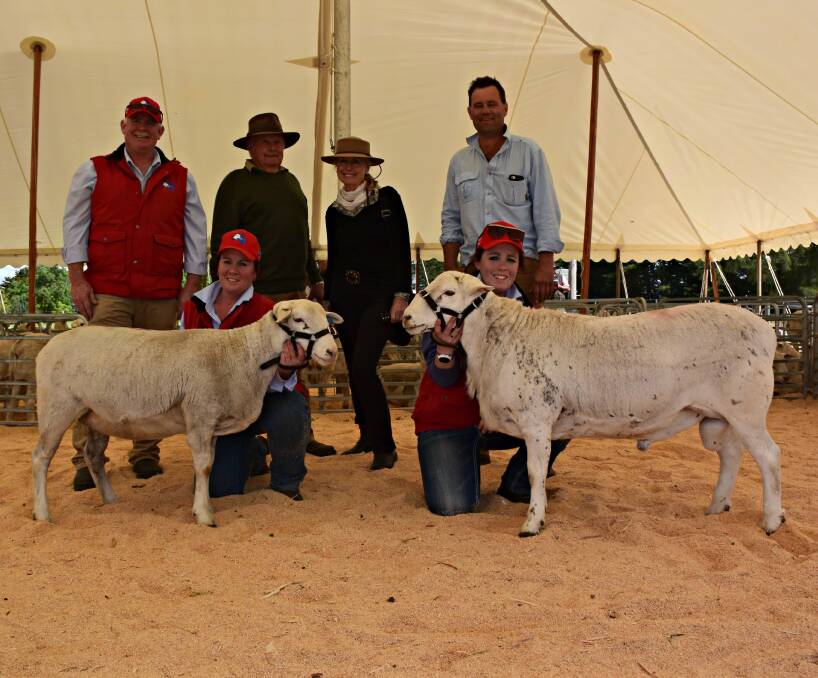 Ardene Australian Whites' Bruce Hodgson (left) with buyers of the top-priced ram and ewe, Rob, Susie and Allistair Coulson, The Point, Birregurra, with Jannie and Ali Hodgson holding the category-toppers.