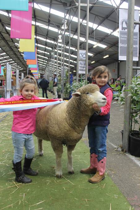 Remi Baker, 4, and Rory, 6, with the family’s Loddon Park Corriedale ewe that won junior and grand champion.
