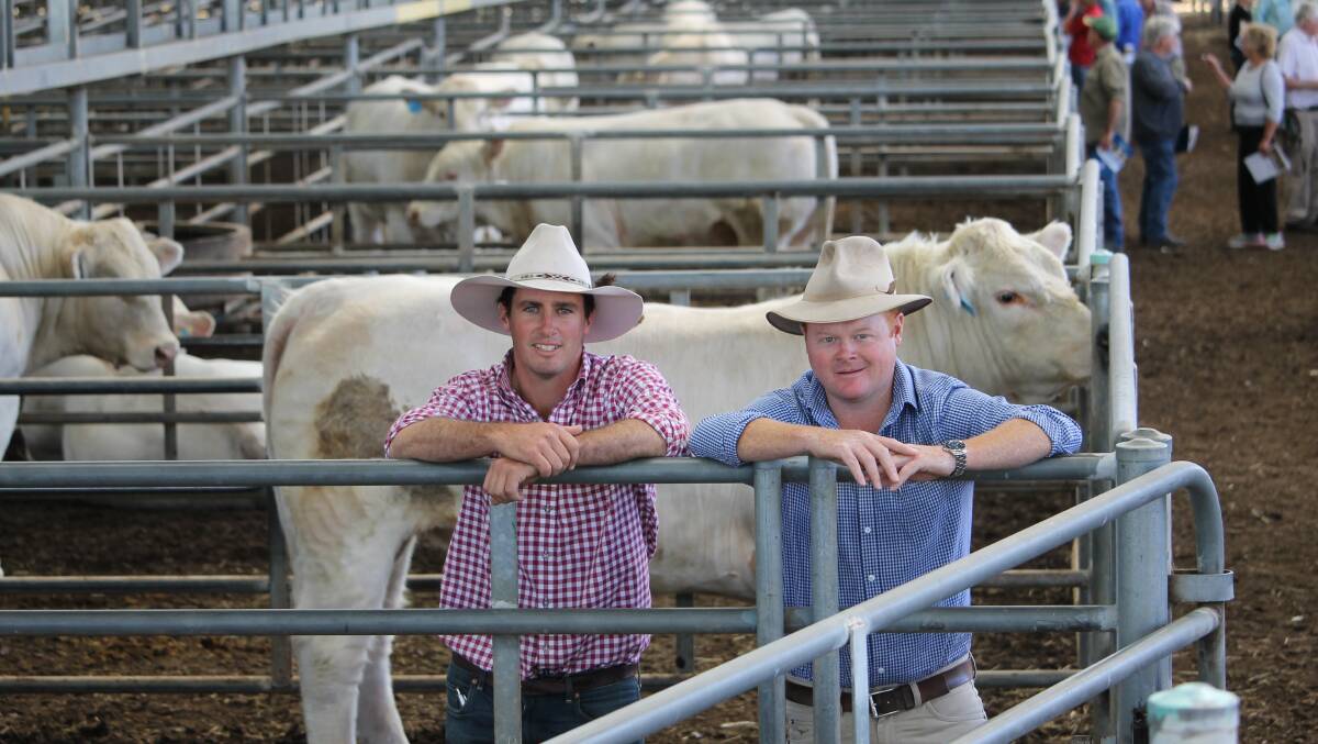 Rosedale principal James Millner, Blayney, NSW, with Adam Mountjoy, Rodwells Yea, and the top-priced bull.