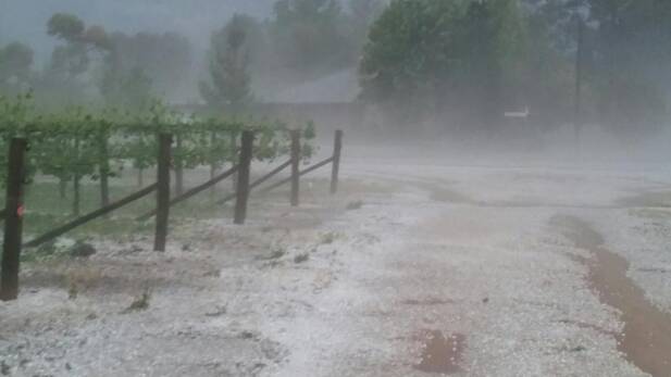 Hail hits: Russell McManus' wine grape property during the storm. Photo: Russell McManus