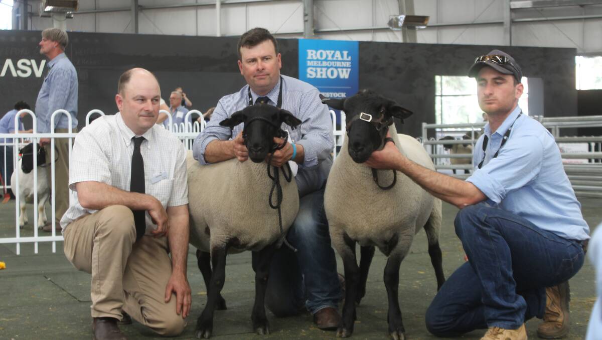 Judge Paul Day, Alastair Day and Lachie Kelly with the Allendale champion and reserve Suffolk ram.