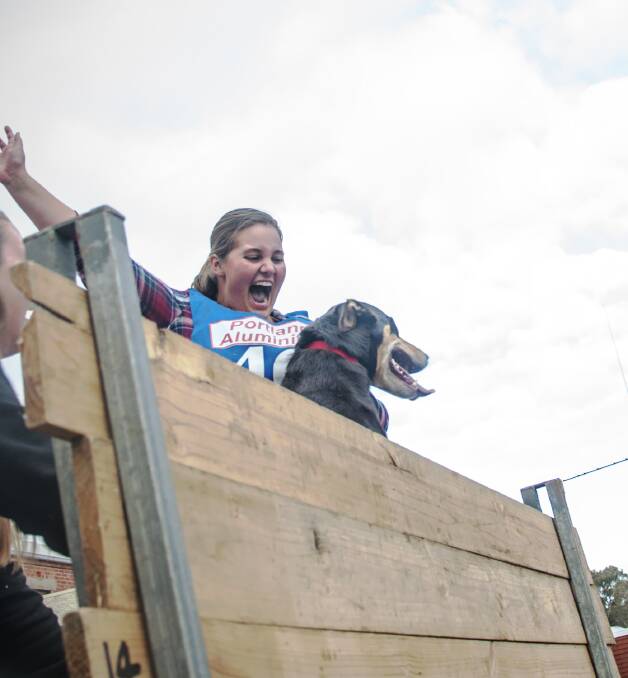Tegan Eagle, Croydon, and her 3.5 year-old dog RV Bailey that again won the Kelpie High Jump and the triathalon. Photos by Natasha Edwards.