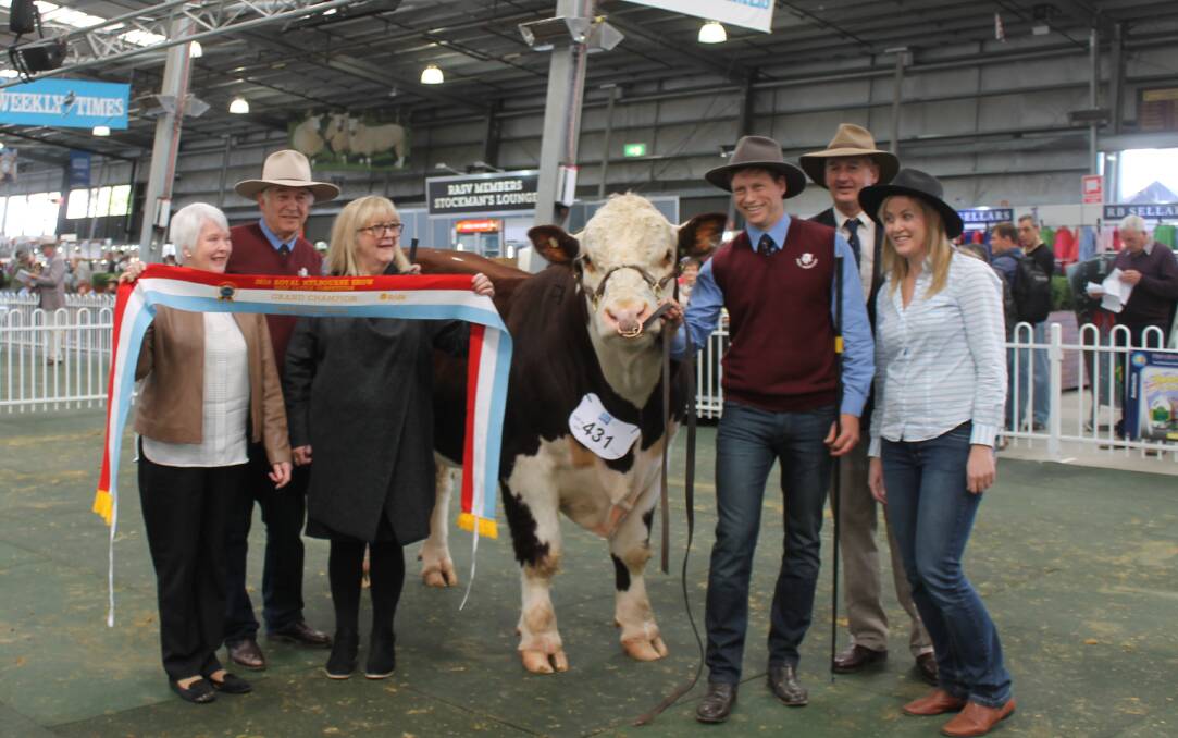 Champion Hereford bull, with Jan and Geoff Coghill, Jennie Angliss, Andrew Coghill, judge Peter Collins, and Catherine Coghill.